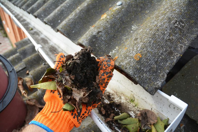 Gutter Leaves Removal in Richmond, VA